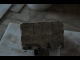 DSC_8560.NEF