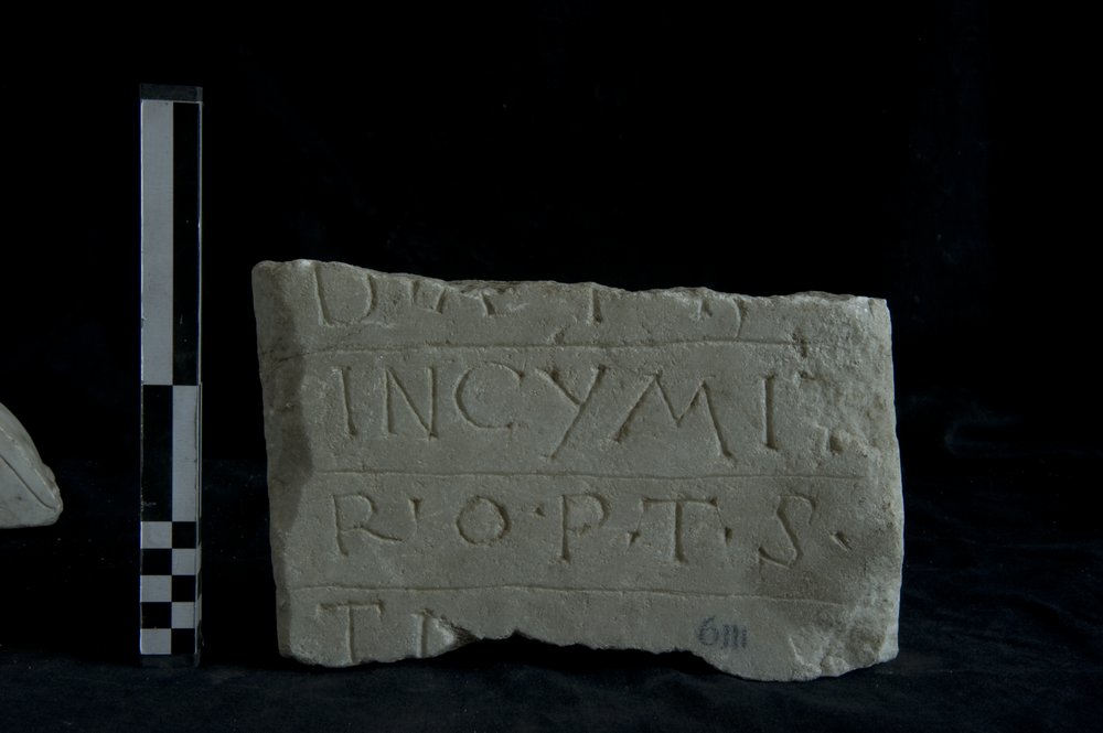 Inv. 6111 _1.TIF