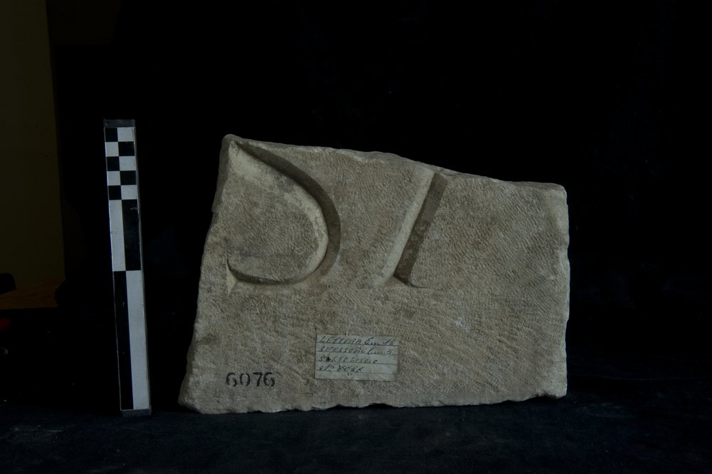 Inv. 6079 _1.TIF