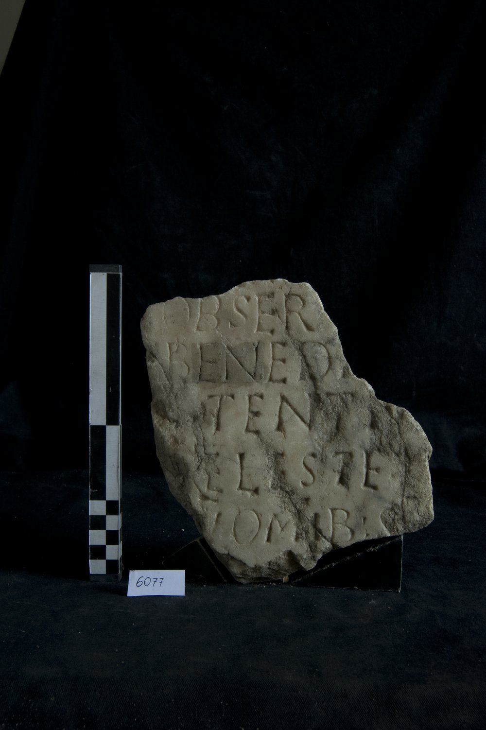 Inv. 6077.TIF