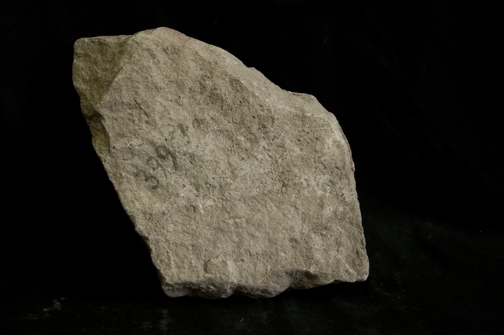 Inv.39961.tif