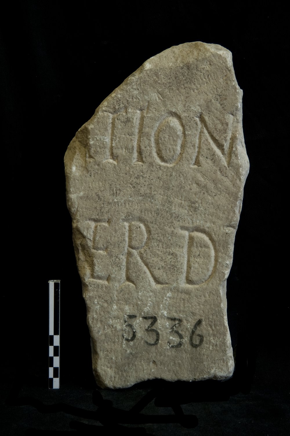 Inv. 5336 mod.tif