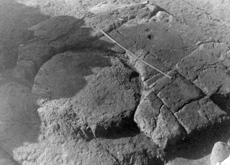 011544 - scavo archeologico - Basilica Emilia, fondazione. Neg. Car nÂ° 23-19