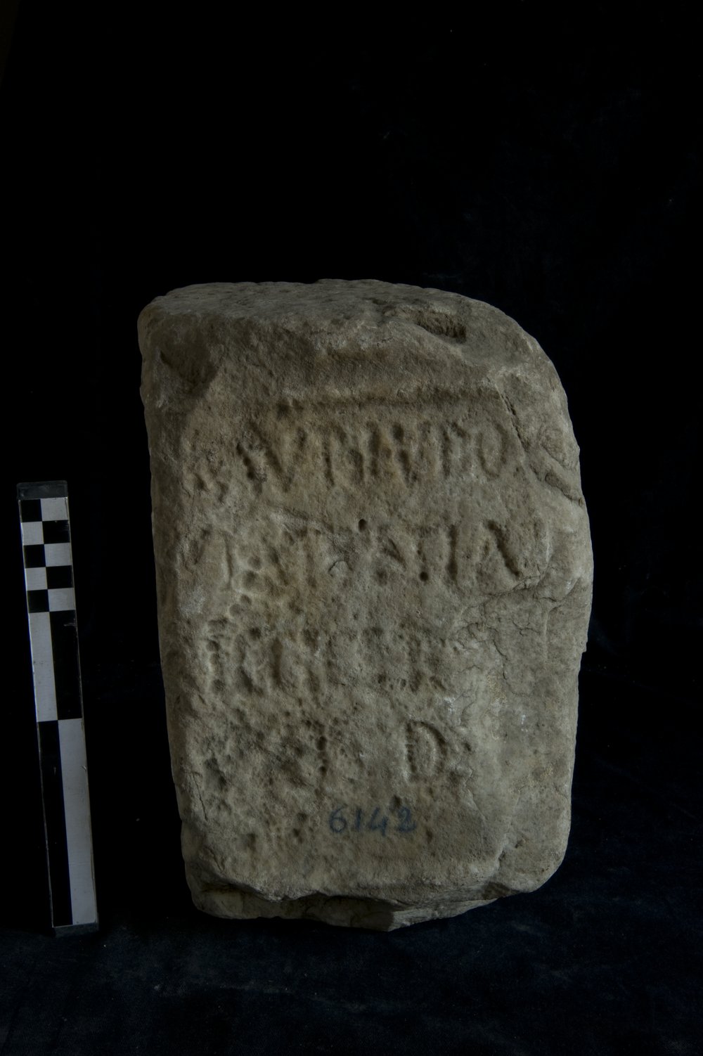 Inv. 6142 _2.TIF