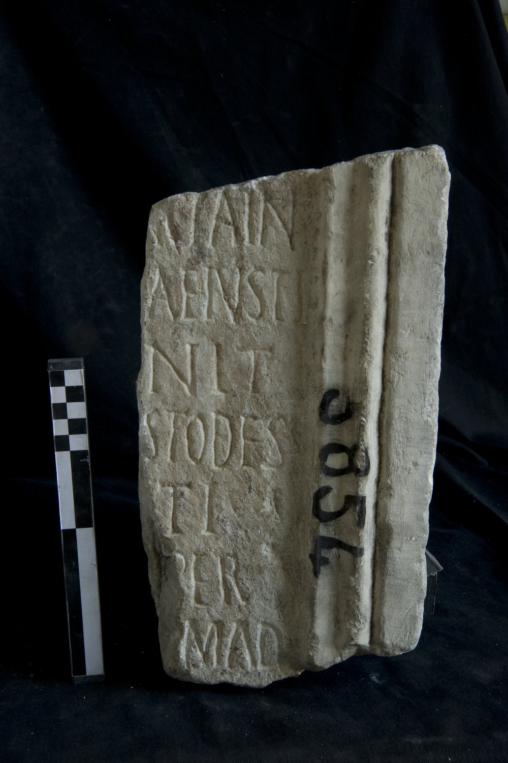 Inv. 5854_1.TIF