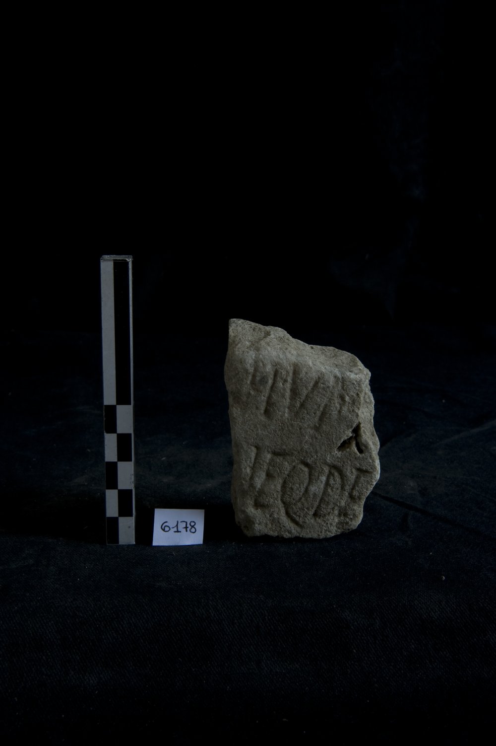 Inv.6178.TIF