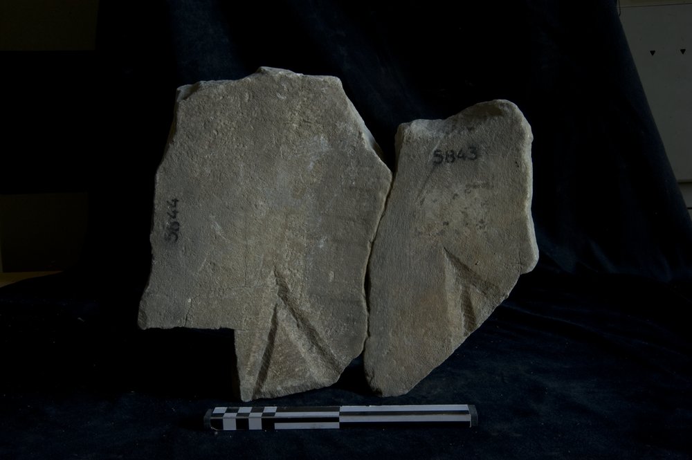 Inv. 5644.TIF