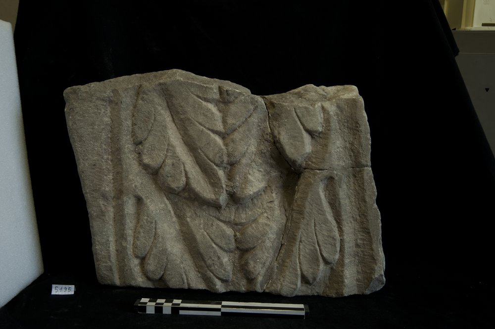 Inv.5195_1.tif