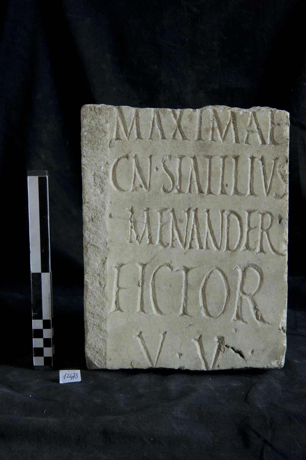 Inv. 12473.TIF