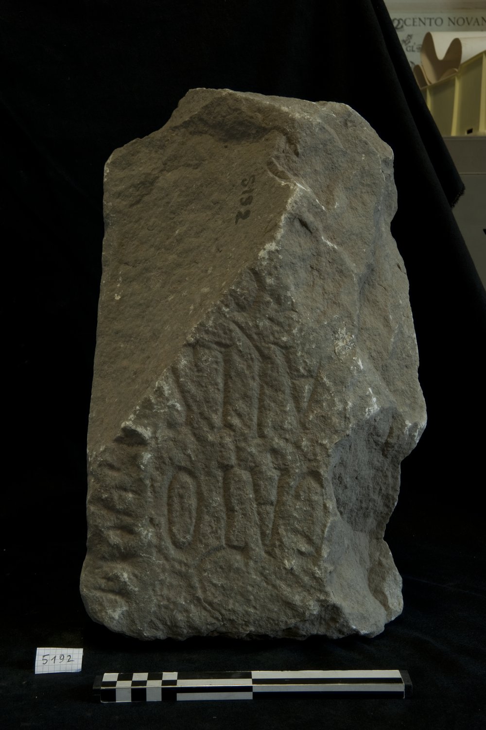 Inv.6142.tif