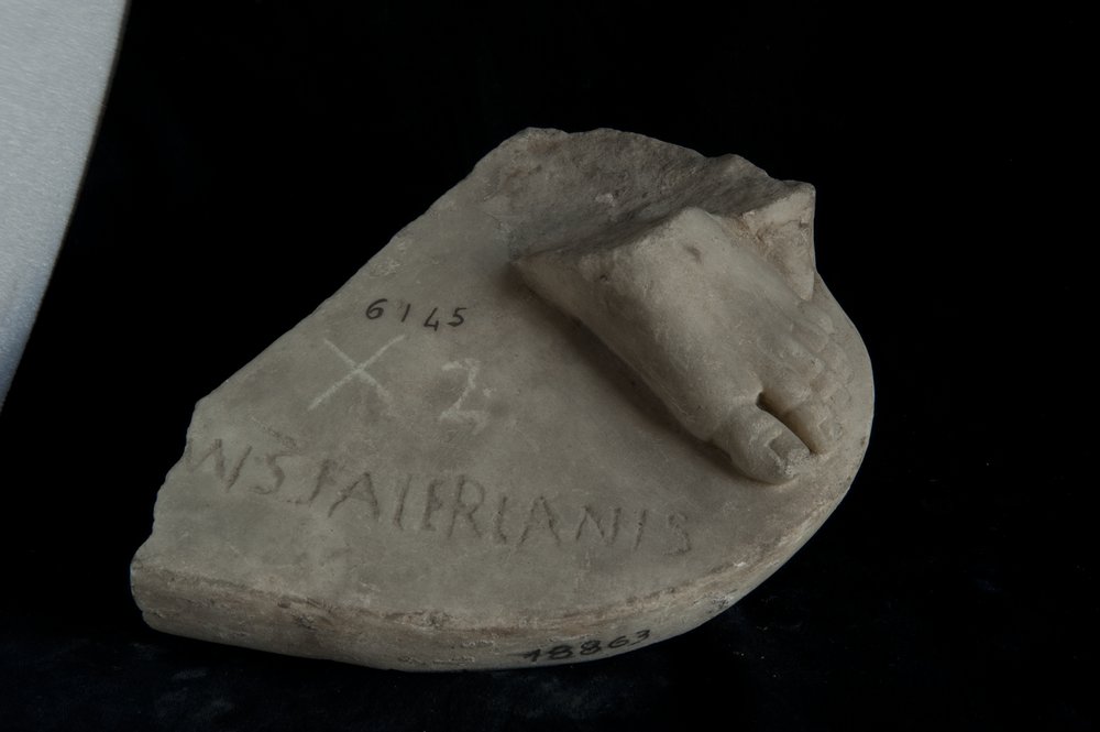 Inv. 6145.tif