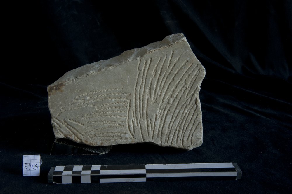 Inv. 5909.TIF