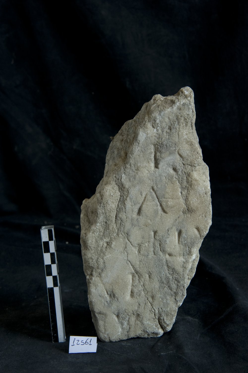 Inv.12561.TIF