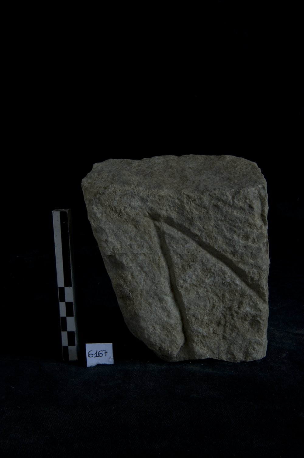 Inv.6167 _1.TIF