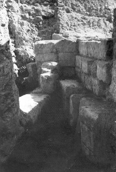011546 - scavo archeologico - Basilica Emilia, cisterna repubblicana 1946. Neg. serie Film nÂ°1504