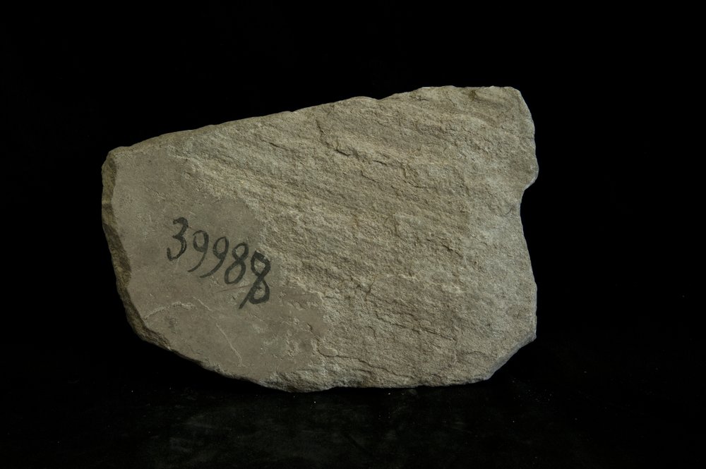 Inv. 39988.tif