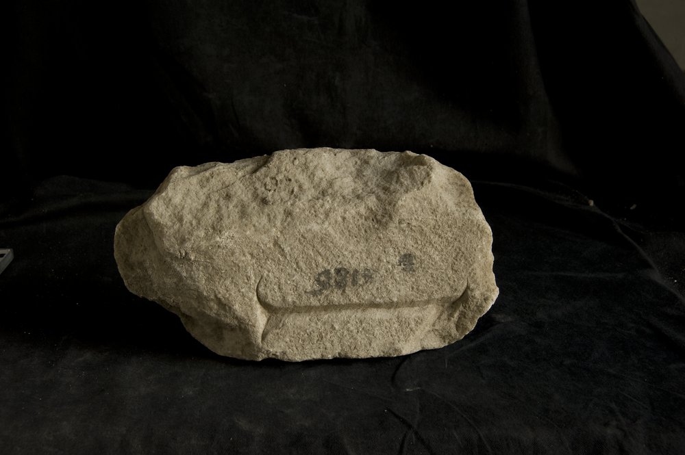 Inv.9819.TIF