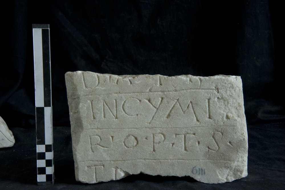 Inv. 6111 _2.TIF