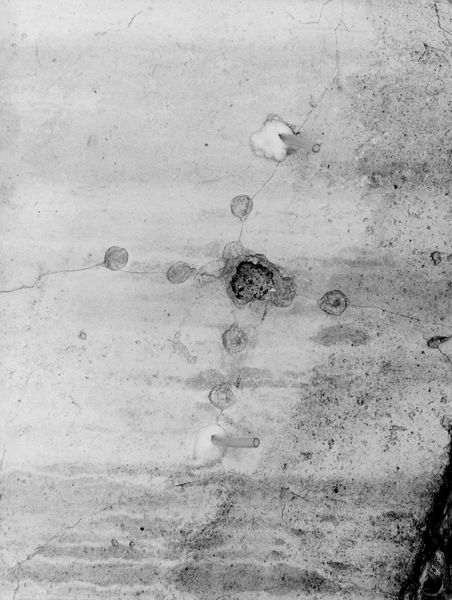 006365 - restauro - Stadio di Domiziano, lato orientale con il Palco Imperiale, galleria anulare superiore : particolare della volta a lacunari dopo il restauro(1988). Neg. serie 6x6 nÂ°14570