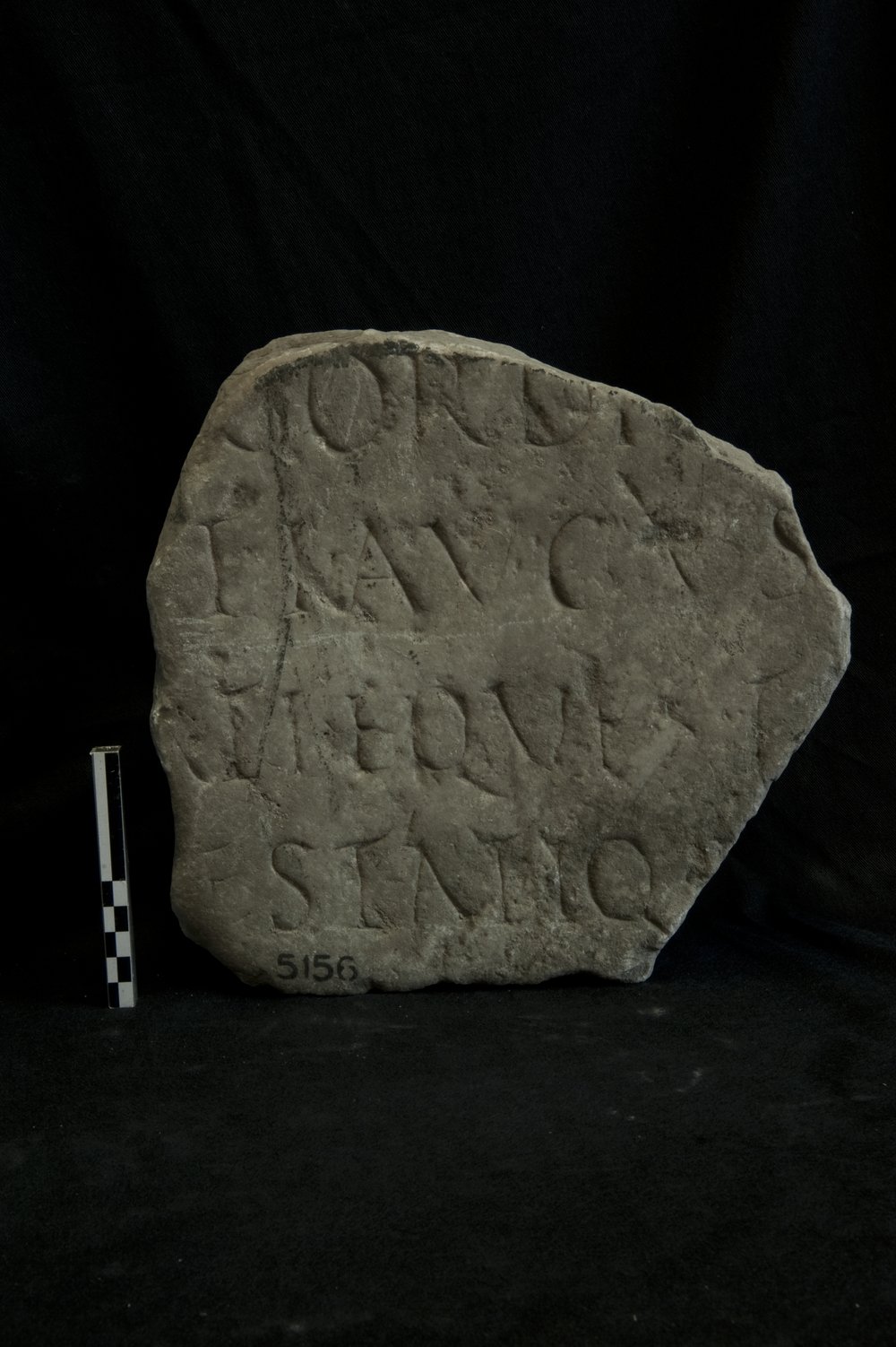 Inv. 5156.tif