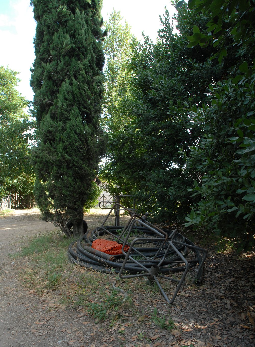 DSC_0032.JPG