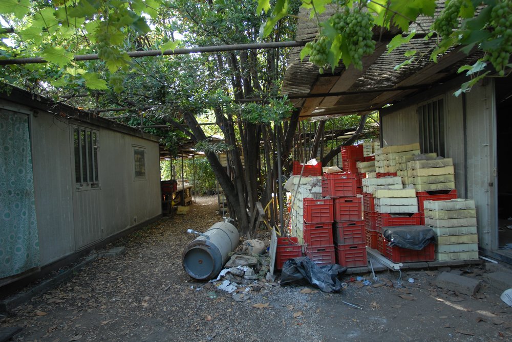 DSC_0038.JPG