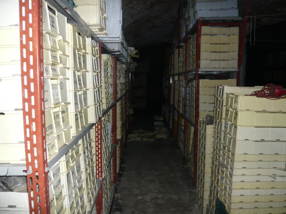 P1060745.JPG