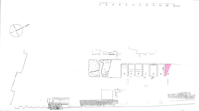 005576 - elaborato grafico - Clivio Palatino: pianta ambiente F