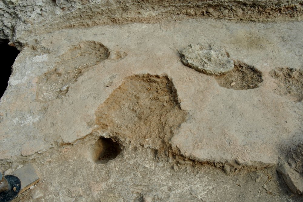 DSC_0471.JPG