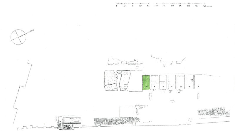 000202 - elaborato grafico - Clivio Palatino: pianta ambiente A1