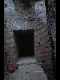 DSC_0009.NEF
