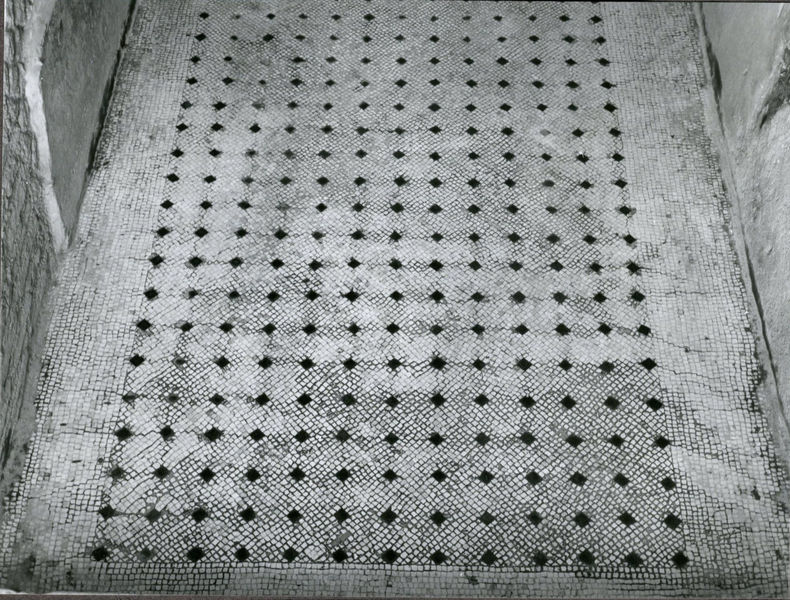 002750 - monumento - Casa di Livia, vano G (primo pianerottolo della scala): il campo centrale del mosaico Ã¨ composto da tessere bianche in ordito obliquo nel quale sono inserite grandi tessere nere ad intervalli regolari, verticali e orizzontali. EtÃ  fra Cesare e Augusto

Casa di Livia, vano B (tablinio): del pavimento sopravvive un lungo frammento a forma di L. Balza marginale in ordito obliquo di filari di tessere bianche, con cornice composta di due fasce di nove filari di tessere nere e una fascia di otto filari di tessere bianche. Il campo centrale Ã¨ composto da un motivo centrale, quello a meandro, scandito da triangoli bianchi, losanghe e quadrati. Databile tra l'etÃ  di Cesare e l'etÃ  di Augusto.

Bibliografia: "Mosaici antichi in Italia- Regio X Palatium" 1967

Neg. serie 6x6 nÂ°778