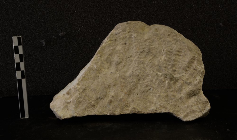 DSC_1595.JPG
