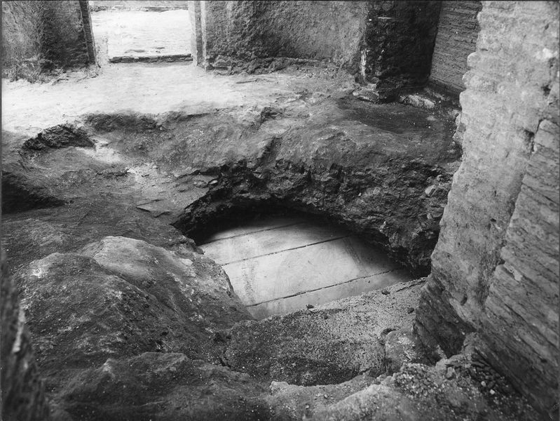 003246 - monumento - Palatino, Domus Augustana, corpo centrale, saletta ottagona, particolare del pavimento; neg. serie E, n. 795