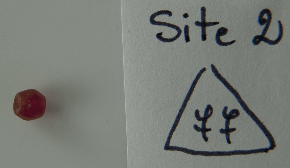 DSC_2511.JPG