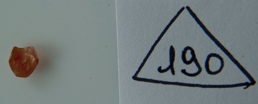 DSC_2518.JPG
