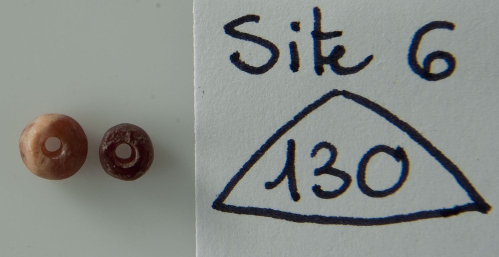 DSC_2505.JPG