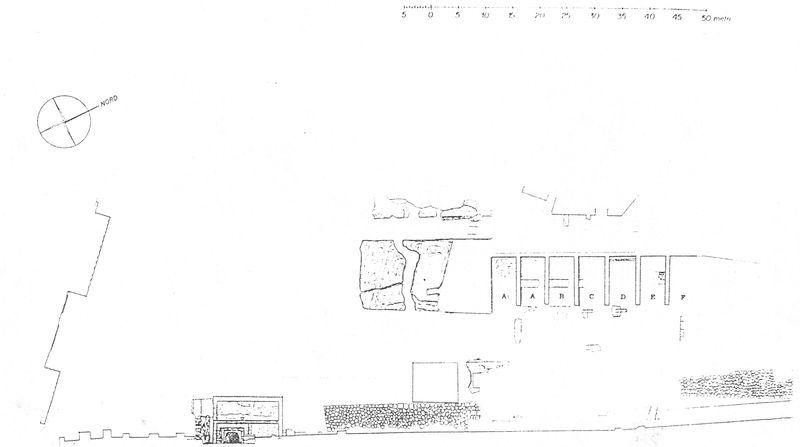 005618 - elaborato grafico - Clivio Palatino: pianta generale