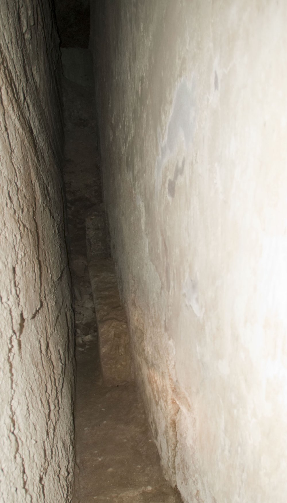 DSC_2814_1.jpg