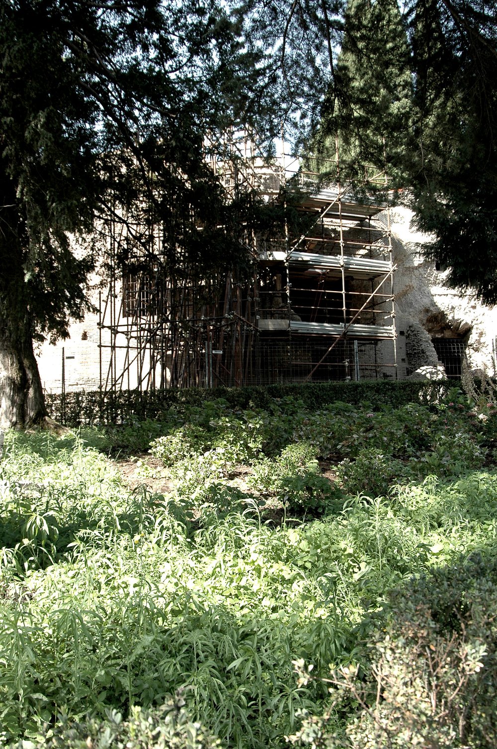 PS9 0053DTAreaNinfeo2007.jpg