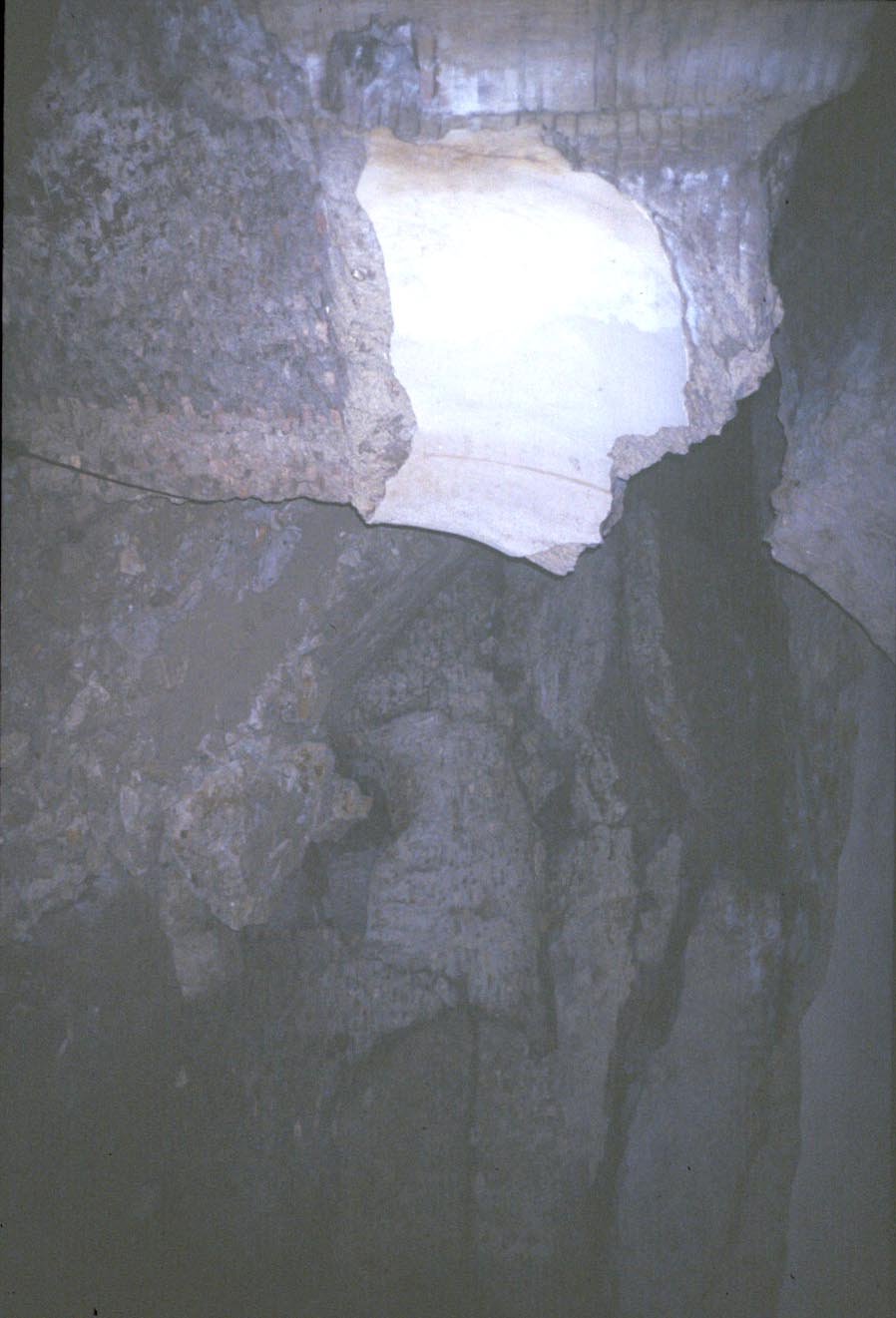 PS9 0208Cripto Portici sotto Orti Farnesiani 1992 28.jpg