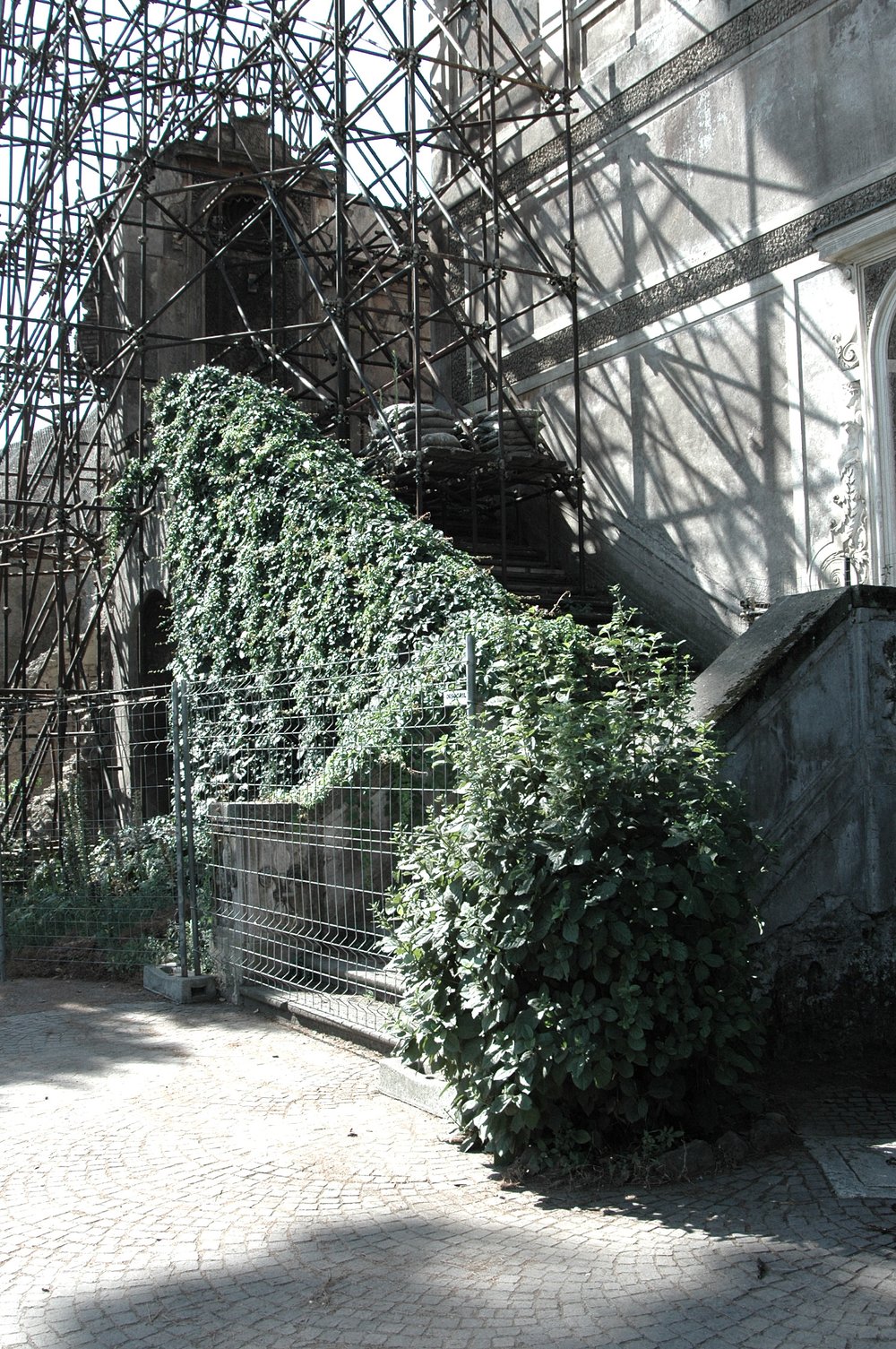 PS9 0057DTAreaNinfeo0057.jpg