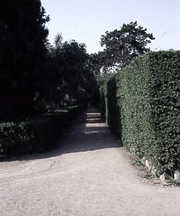 PS9 0181OFGiardini784.jpg