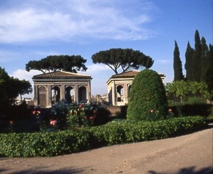 PS9 0163OFUccellerie773.jpg