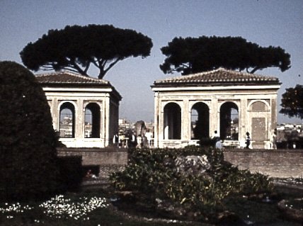 PS9 0165OFUccellerie779.jpg