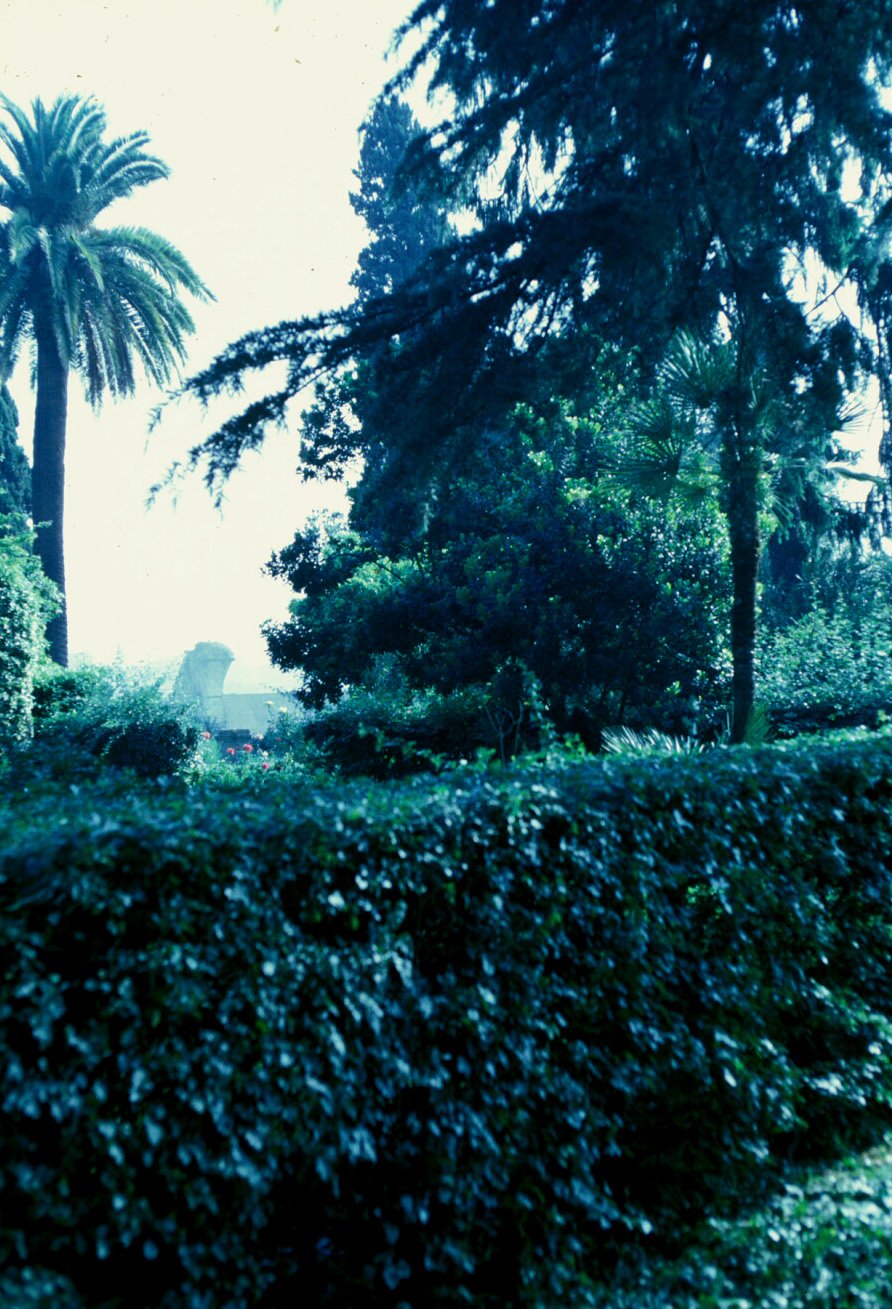 PS9 0025Orti Farnesiani170.jpg