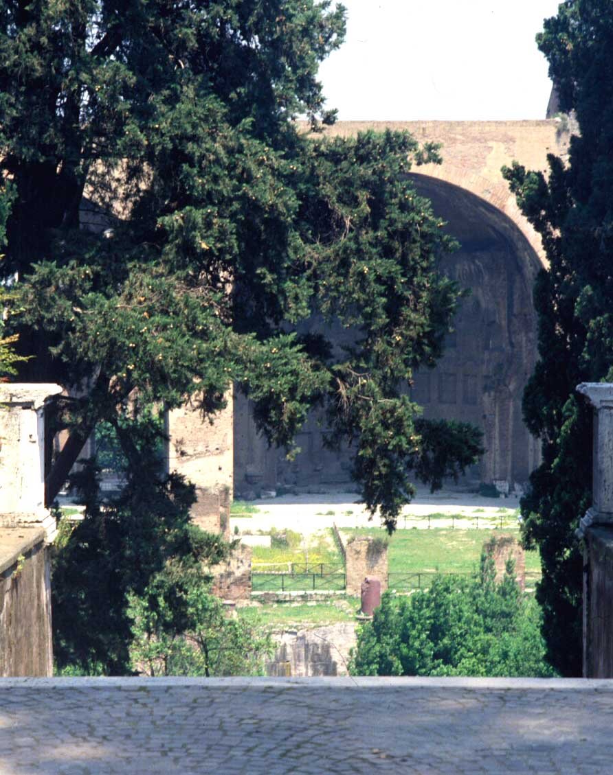 PS9 0035Orti Farnesiani185.jpg