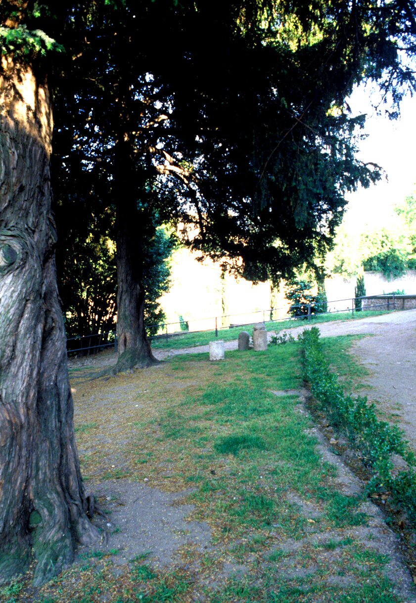 PS9 0039Orti Farnesiani193.jpg