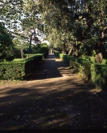 PS9 0175OFGiardini771.jpg