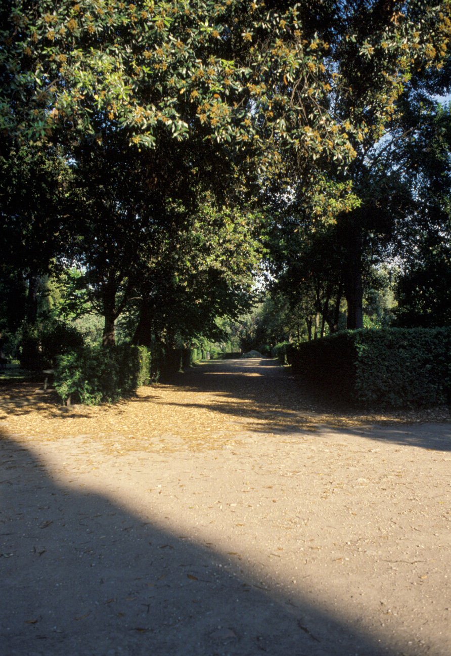PS9 0022Orti Farnesiani167.jpg